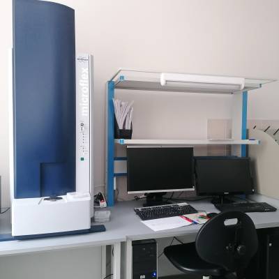MALDI-TOF Microflex LRF system (Bruker Daltonic)