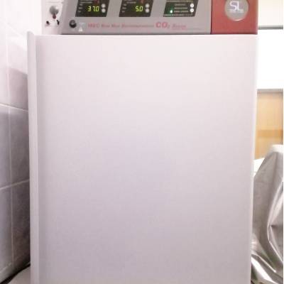 CO₂ Incubator 